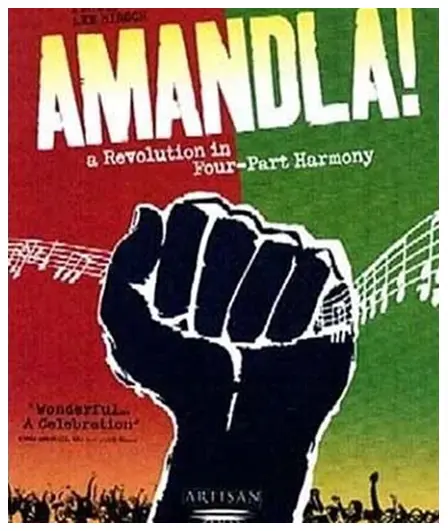 A poster of the movie amandla.